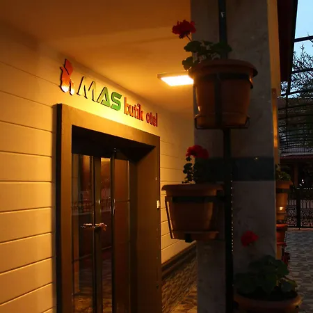 Hotel Mas Butik
